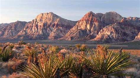 dual diagnosis treatment in nevada|7 Best Dual Diagnosis Rehab Centers In Nevada .